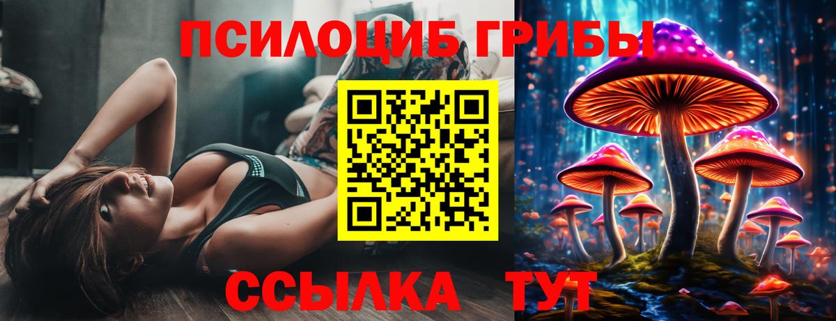 Елабуга  Псилоцибиновые грибы мухоморы  Вход с VPN 