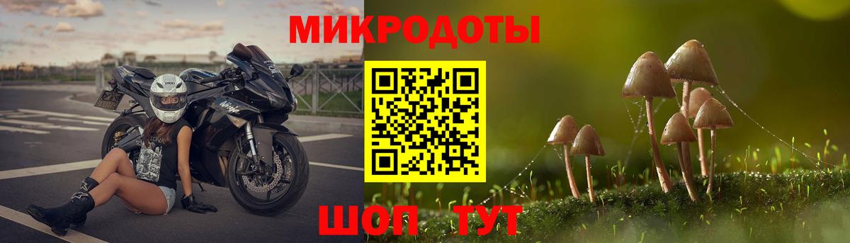 Псилоцибиновые грибы MAGIC MUSHROOMS Елабуга